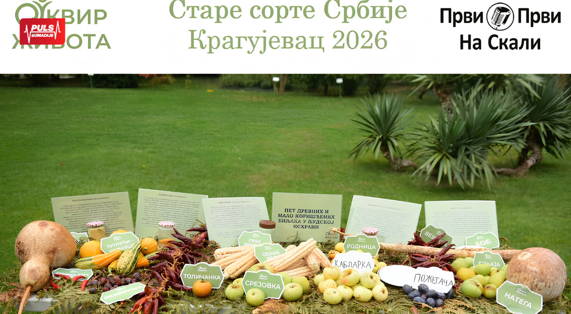Stare sorte Srbije – Kragujevac 2026: Projekat UG PRVI PRVI NA SKALI